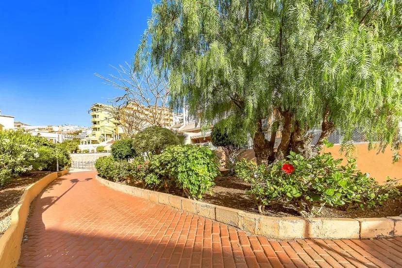 Tenerifeopenhome Costa Adeje Comfort Apartment 3 Pools Екстер'єр фото